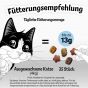 FELIX KnabberMix Original, Knuspriger Katzensnack mit 3 Geschmacksrichtungen (1er Pack (1 x 200g))