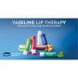 Vaseline Lip Therapy das Original, Pflegender Lippenbalsam, Lippenstift mit Vitamin E und Vaselinegel (Original 1er)