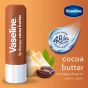 Vaseline Lip Therapy Cocoa Butter | Getönter Lippenbalsam mit Kakao und Sheabutter  (24 x 4.8g)