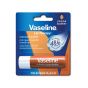 Vaseline Lip Therapy Cocoa Butter | Getönter Lippenbalsam mit Kakao und Sheabutter  (24 x 4.8g)