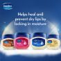 Vaseline Lip Therapy Crème Brûlée | Pflegender Lippenbalsam für optimale Feuchtigkeit | (Crème Brûlée (2er Pack))